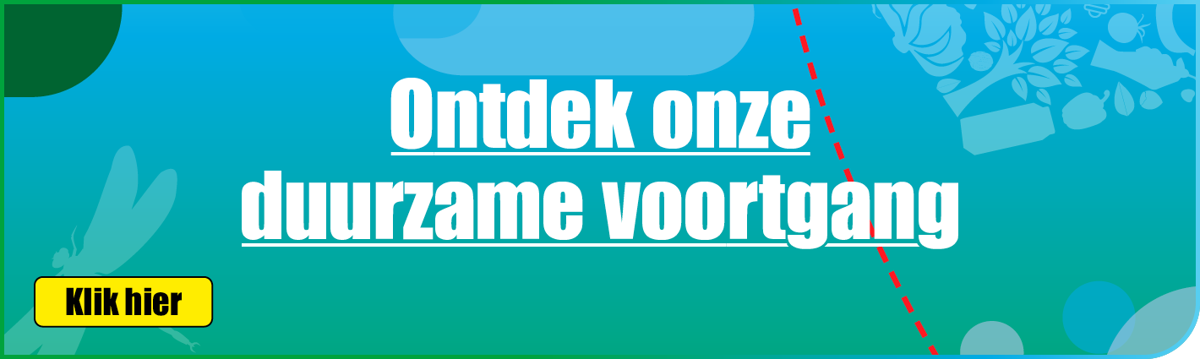 Dirk banner