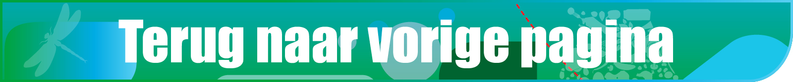 Terug naar vorige pagina banner