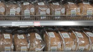 Dirk Noordwijkerhout