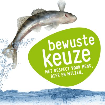 Afbeelding van Duurzame vis