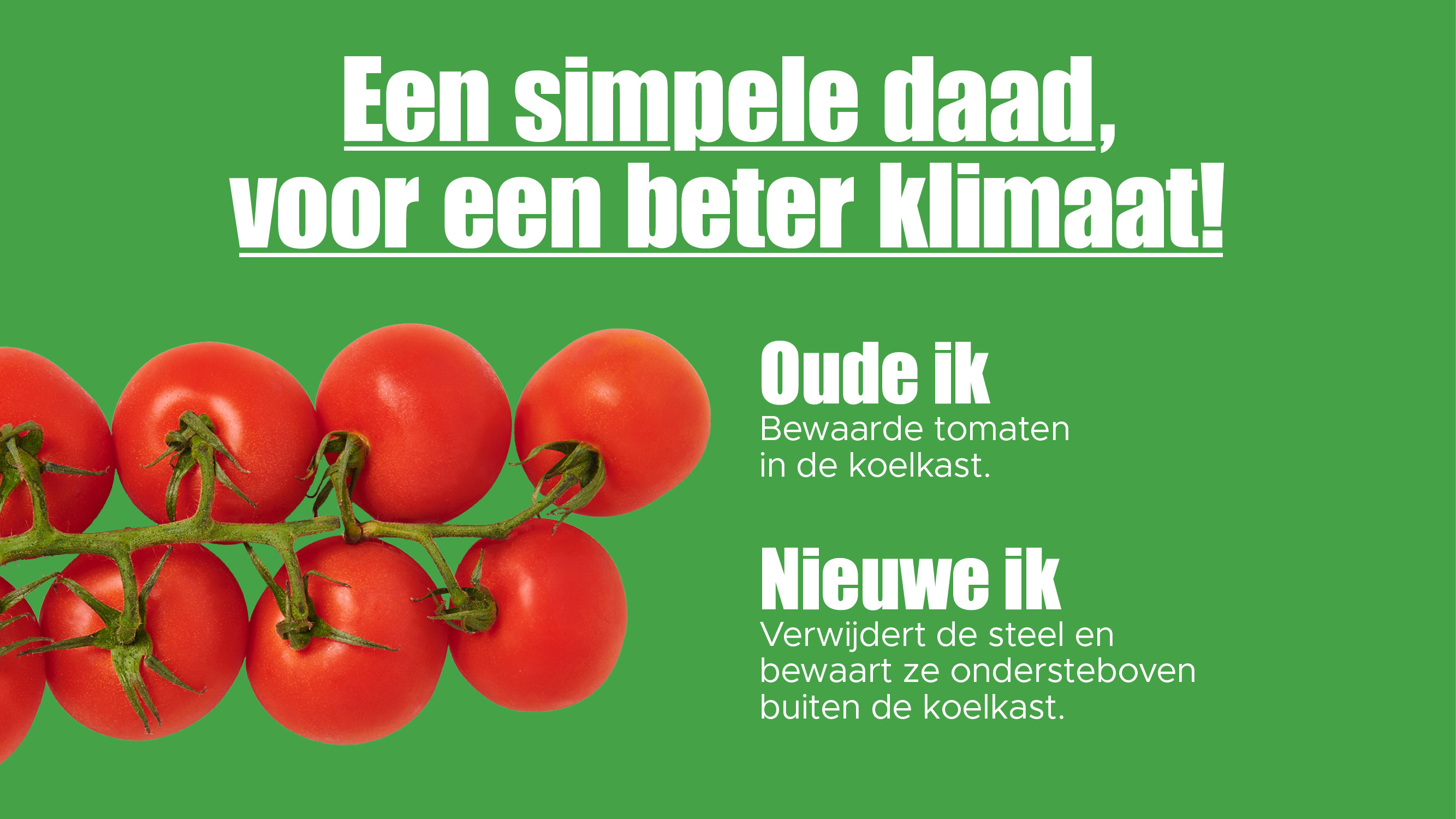 tomaten