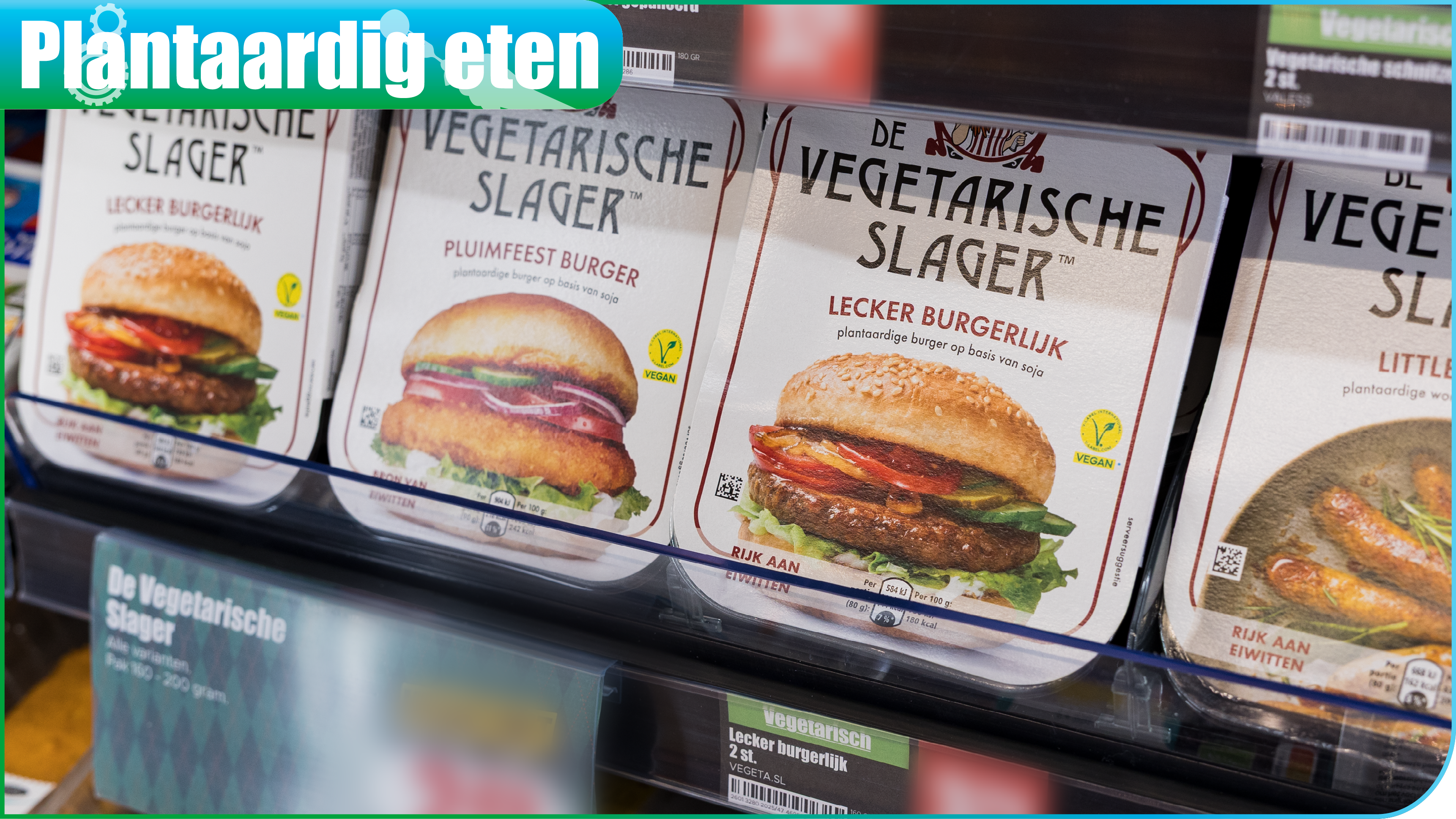 Plantaardig vs vlees banner