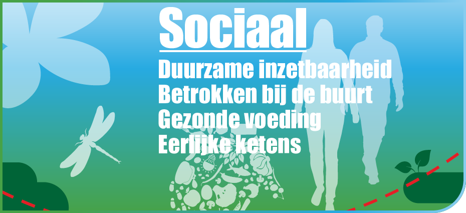 Dirk banner