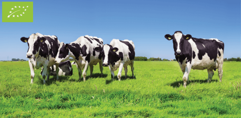 Biologische melk afbeelding