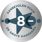 DGH Zilver ster 8-