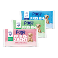 Page vochtig toiletpapier Foto van Page vochtig toiletpapier