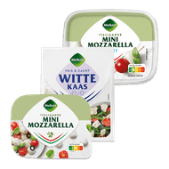 Melkan witte kaas of mini mozzarella Foto van Melkan witte kaas of mini mozzarella