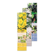 Sierheester, fruitplant of rozen Foto van Sierheester, fruitplant of rozen