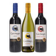 Gato Negro Foto van Gato Negro