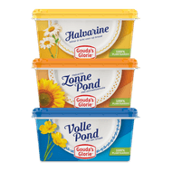 Foto van Gouda's Glorie