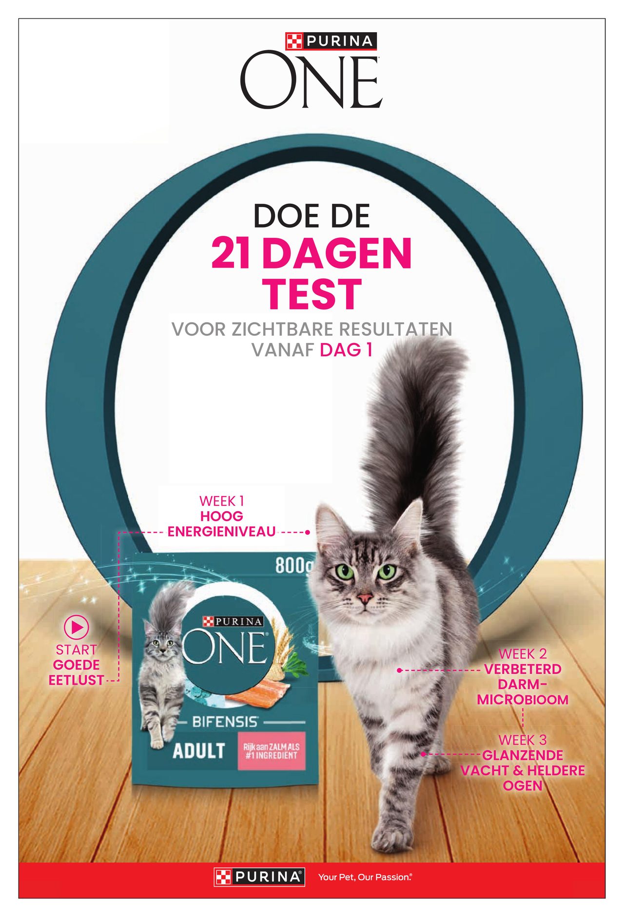 Dirk Folder pagina 78